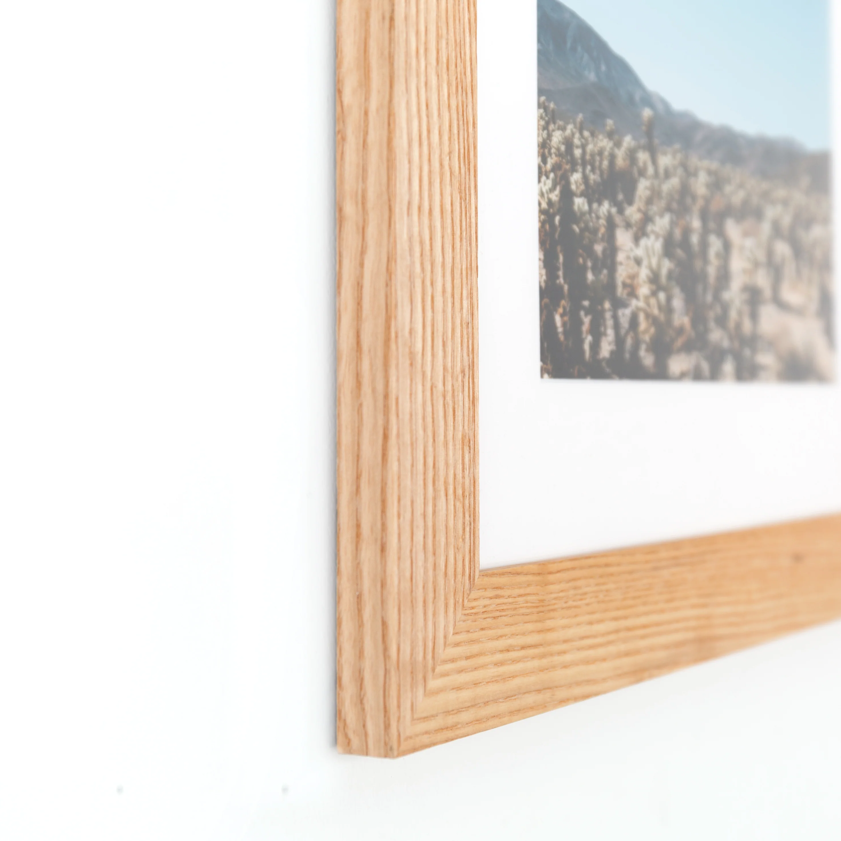 Ash Wide - Image 3