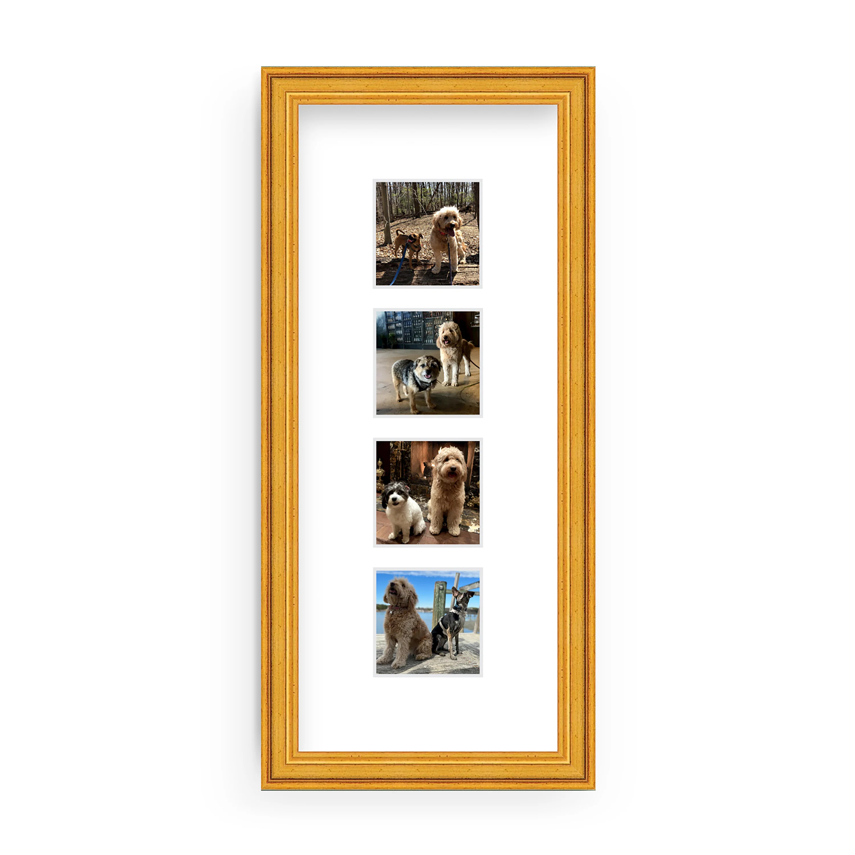 The Photo Strip - Image 4