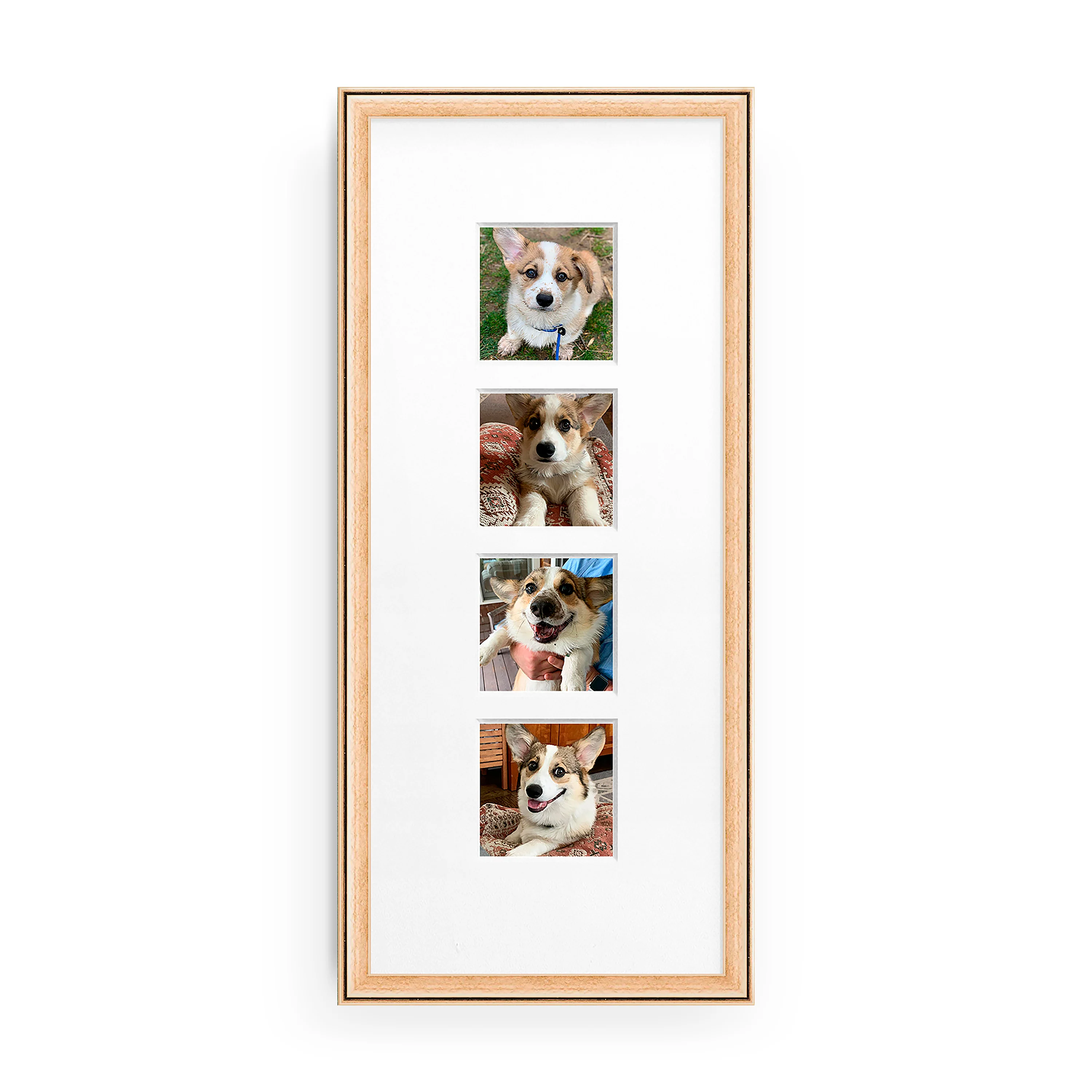 The Photo Strip - Image 5