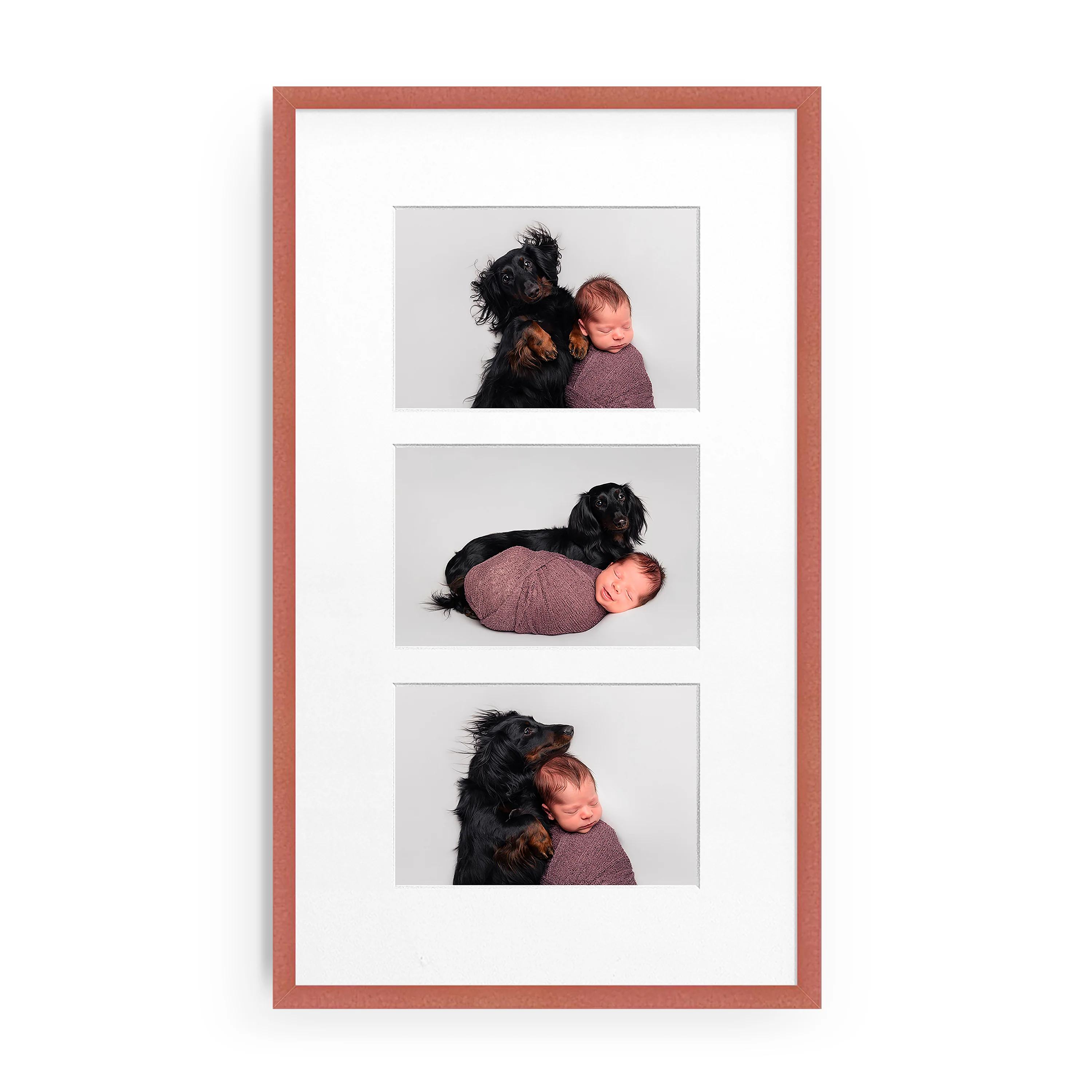 The Vertical Trio - Image 12
