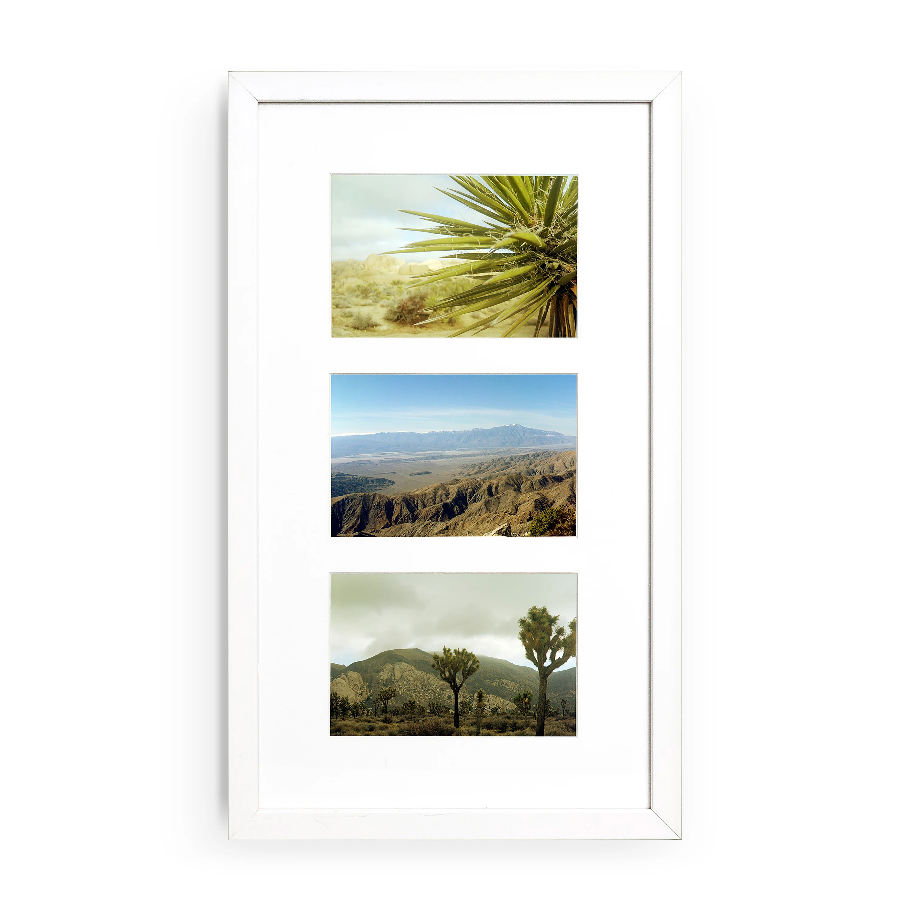 The Vertical Trio - Image 4